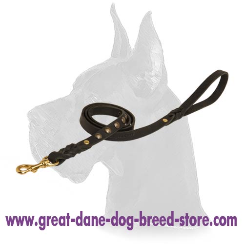 Fancy Great Dane Leather Dog Leash