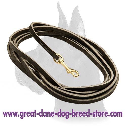 Tearproof Great Dane Leather Leash