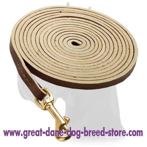 Soft Great Dane Leather Leash