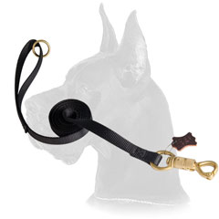 Leather Great Dane Leash Stitched