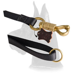 Strong brass smart lock for nylon Great Dane leash  