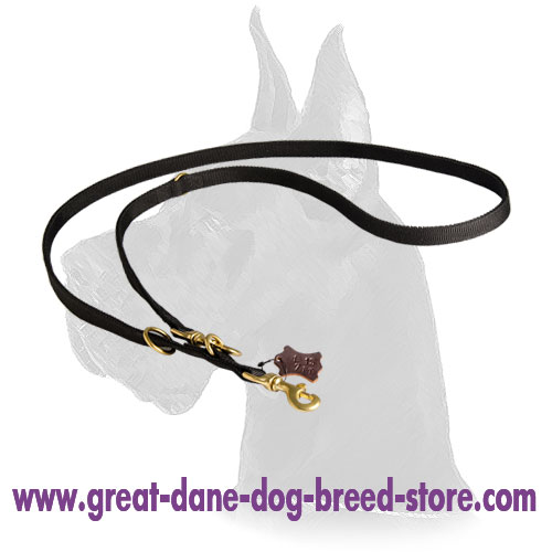 Nylon Great Dane Leash with brass hardware