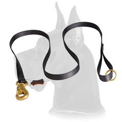 Nylon Great Dane leash with comfy handle  