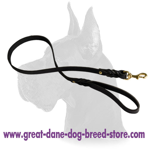 Handcrafted leather dog leash for walking and tracking