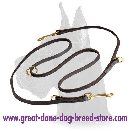 Leather Great Dane Leash with brass hardware