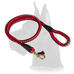 Cord Nylon Leash for Great Dane