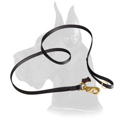 Leather Great Dane Leash Stitched