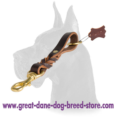 Training Leather Great Dane Pull Tab