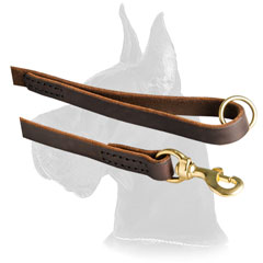 Leather Leash withBrass Hardware  