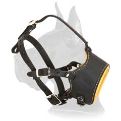 Padded Leather Muzzle