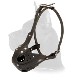 Great Dane Dog Muzzle for training