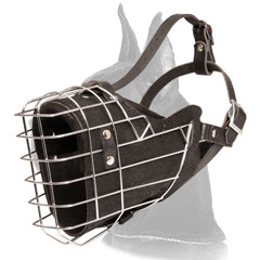 Great Dane Muzzle for Attack Training