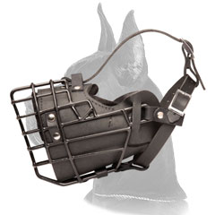 Riveted Great Dane Muzzle