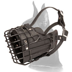 Great Dane Wire Cage Muzzle with leather part