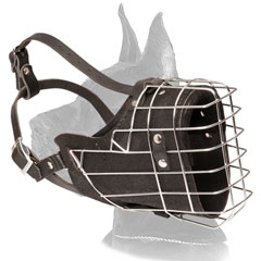 Great Dane Muzzle with leather part