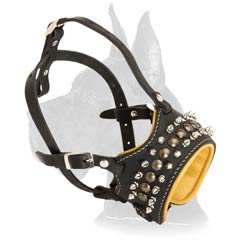 Decorated Leather Muzzle