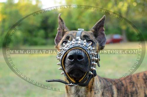 Fashionable Leather Muzzle