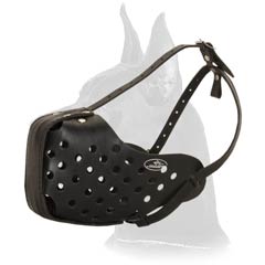 Safe Leather Muzzle