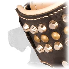 Amazing Handmade Leather Muzzle