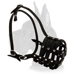 Riveted Leather Muzzle