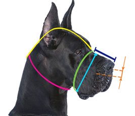 How to measure your dog for good fit muzzle