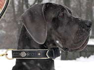 Buy our Great Dane Collar, German mastiff Collar,Deutsche Dogge Collar,leather dog collar,nylon dog collar,spiked dog collar,training dog collar for your dog