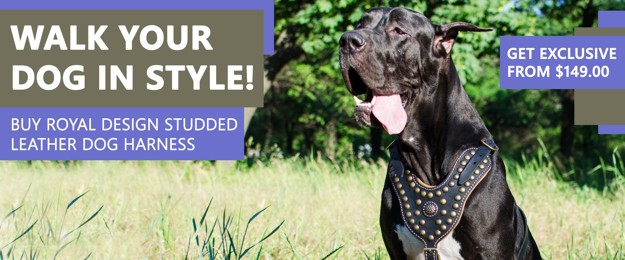 Great Dane harness, Great Dane dog muzzle, Great Dane dog collar, Dog